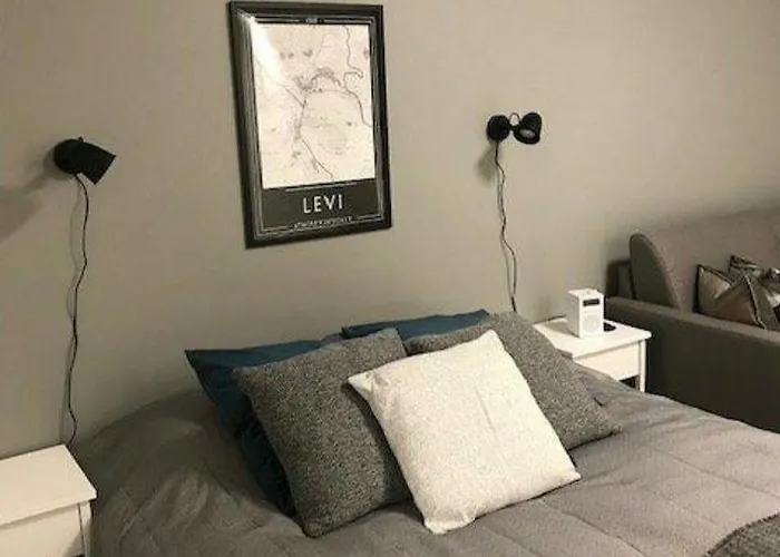 Ski Studio Levi