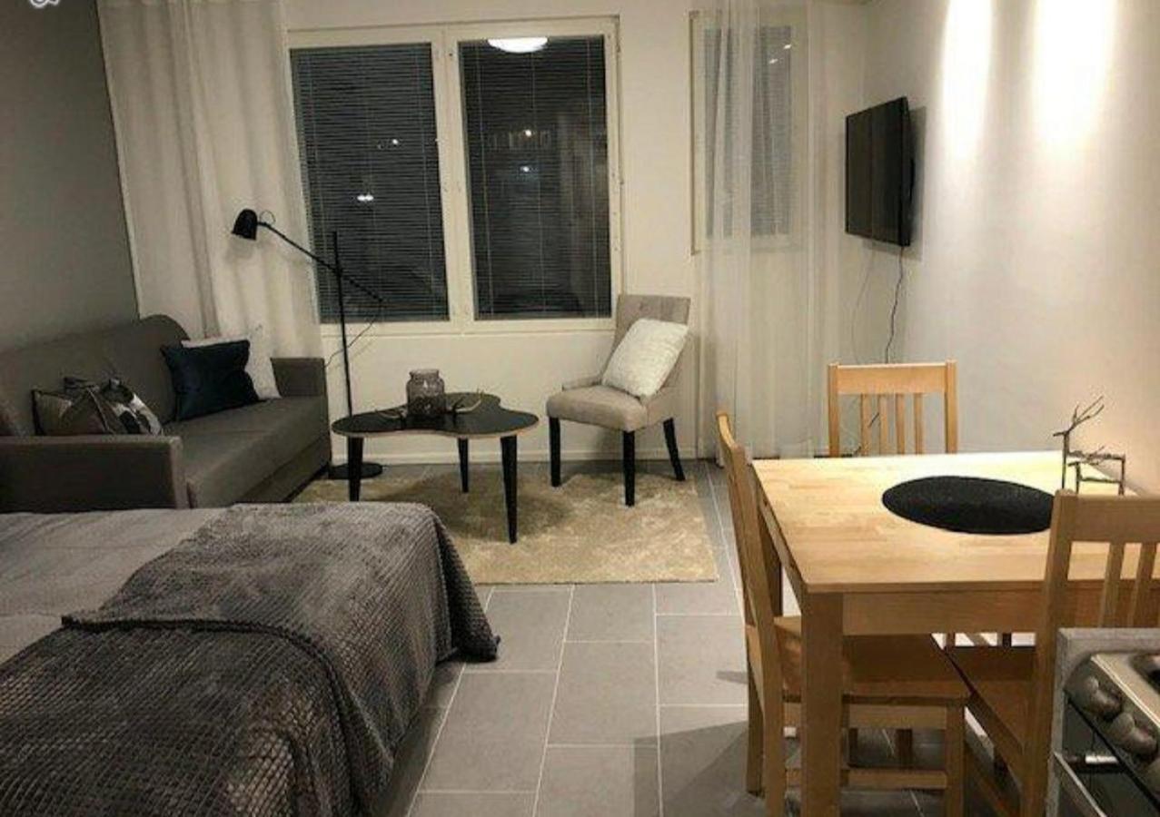 Apartment Ski Studio Levi